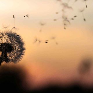 https://bankrotstvo-kochneva.ru/wp-content/uploads/2018/09/post_02-320x320.jpg